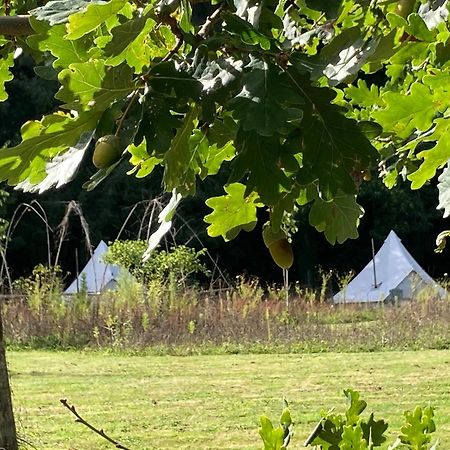 Au Pre Fleuri Eco Glamping Hotel Le Lindois Exterior photo
