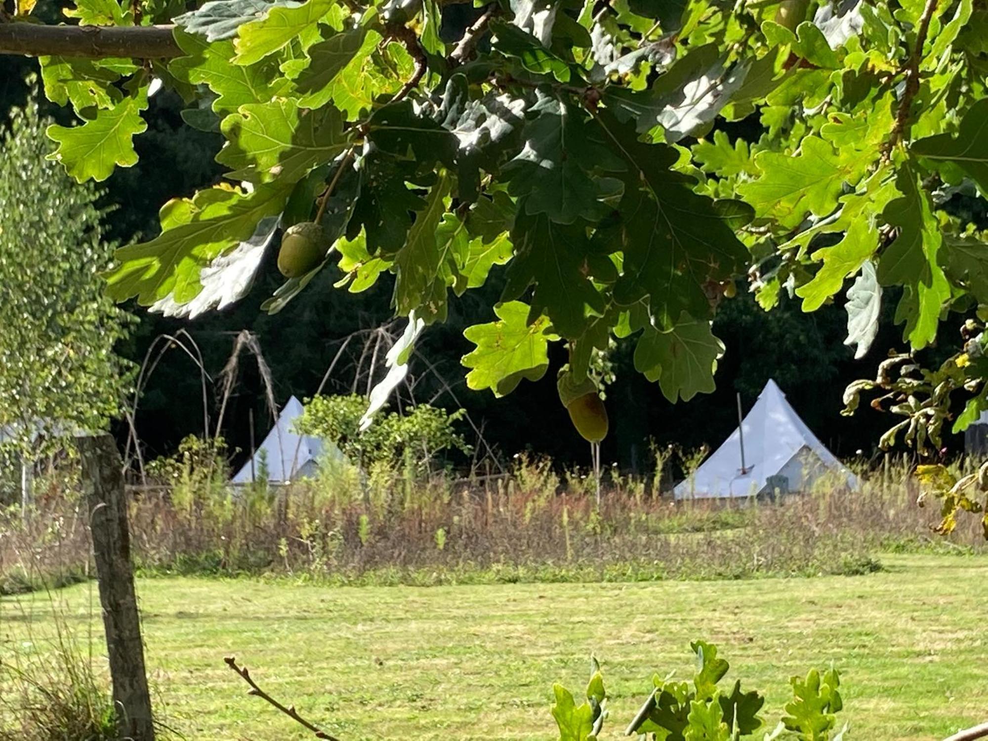 Au Pre Fleuri Eco Glamping Hotel Le Lindois Exterior photo